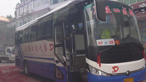 好消息 南部这个乡镇开通直达成都客运班车