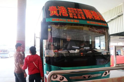 贵港 我爱你 回顾贵港不一样的42天