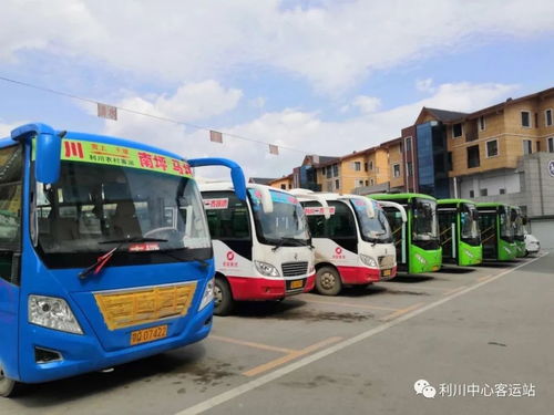 恩施州 15天0新增 州城出租车开始试运营 利川鹤峰恢复县内班线营运