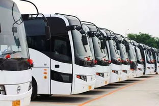 提醒 快看 本月起,辽宁全面放开跨市班车客运票价