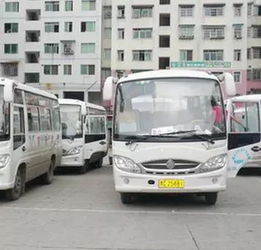 遵义最新客运路线指引,拿走不谢