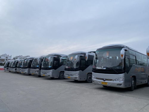 经营 灌云客运站至市区南站新增七台班车恢复运营