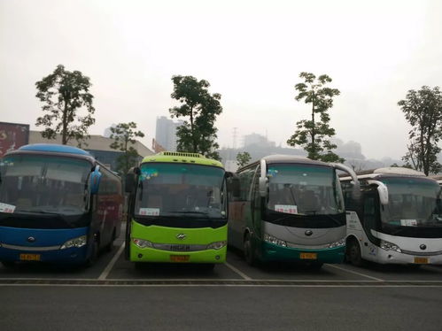 27日15时起,涪陵暂停省际 县际客运班车和包车运营