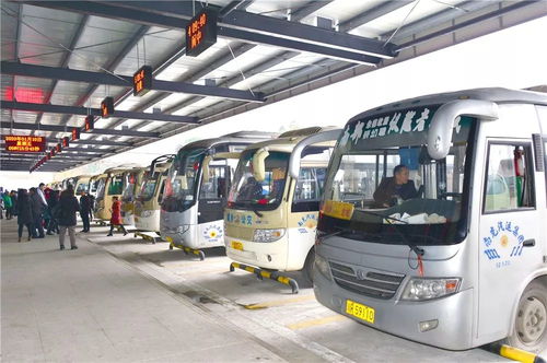 南部通往各省市县客车包括公交停运 出租车停吗