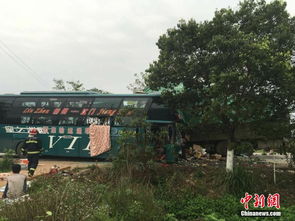 广西鹿寨县境内货车与客车相撞致两人死亡多人受伤