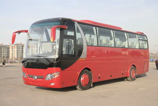 40 units yutong coaches goes to service in beijing