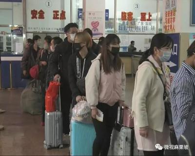 即日起,麻栗坡县恢复部分道路客运班线