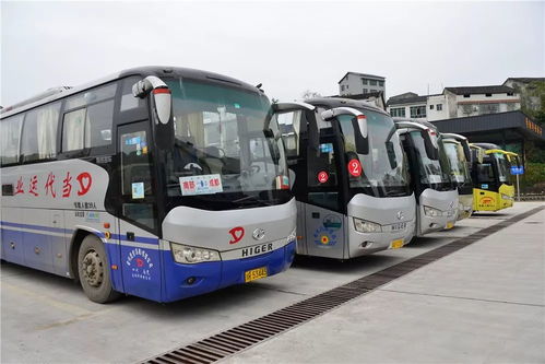 南部通往各省市县客车包括公交停运 出租车停吗